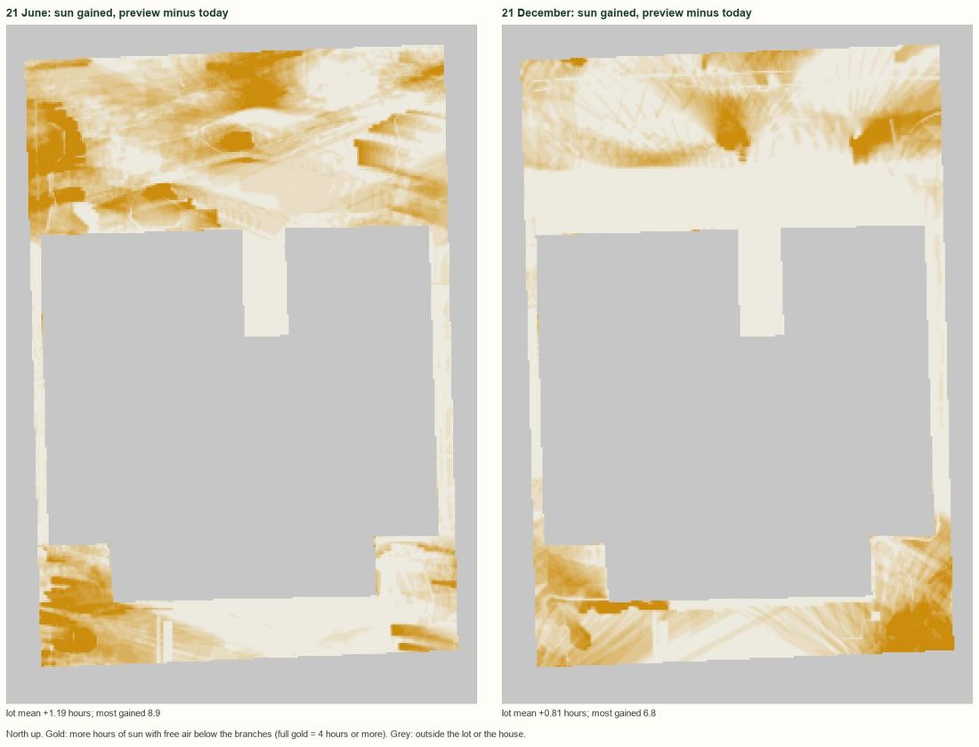 Map of 1140 NE 87th St: where the ground gains hours of sun with free air below the branches, on 21 June and 21 December