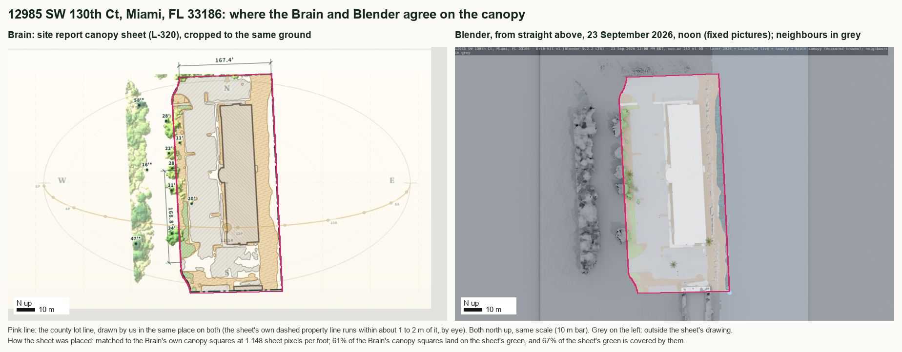 The Brain's canopy sheet beside the Blender plan from straight above at noon for 12985 SW 130th Ct, on the same ground and scale, with the county lot line in pink on both