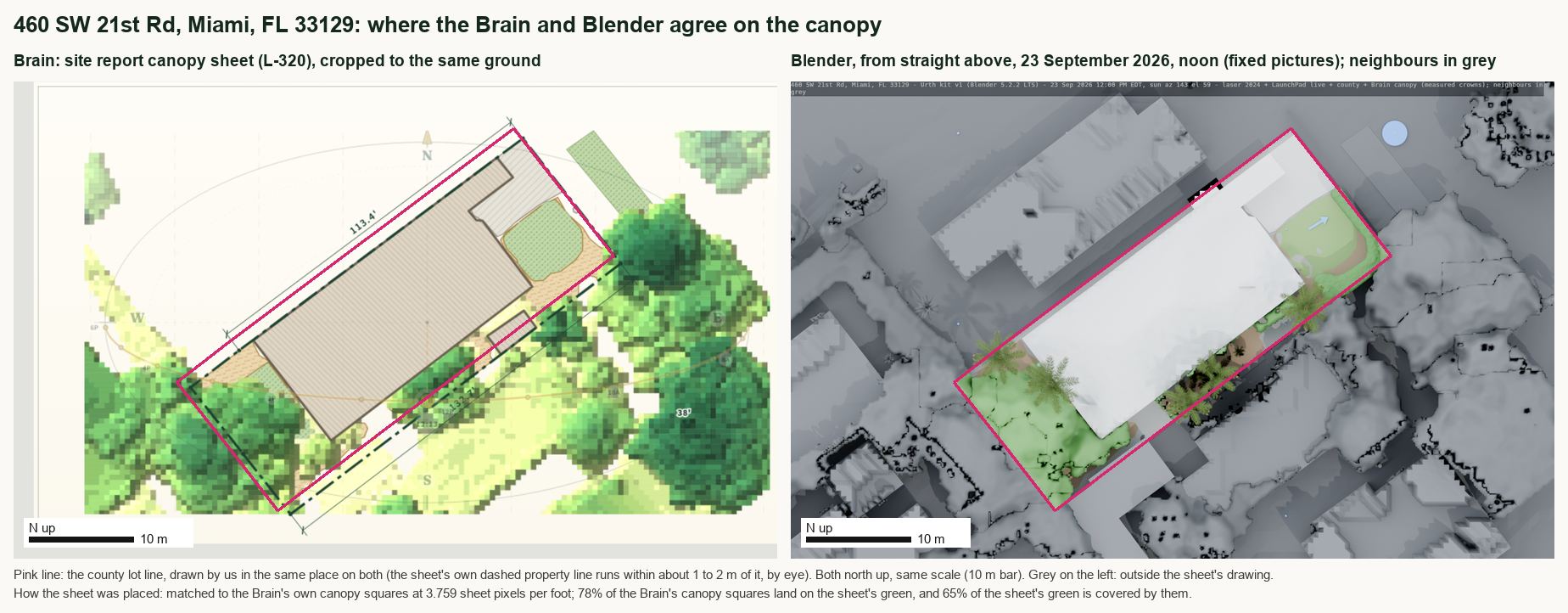 The Brain's canopy sheet beside the Blender plan from straight above at noon for 460 SW 21st Rd, on the same ground and scale, with the county lot line in pink on both