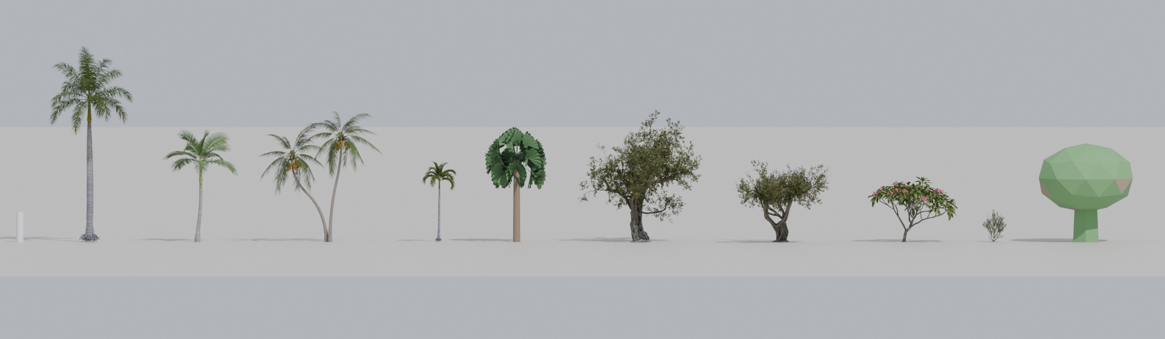 The kit's plant library at true size, left to right: a 1.8 m person marker, then royal palm 12 m, Alexander palm 7 m, coconut palm 8 m, Christmas palm 5 m, the kit's own fan palm 7 m, two broadleaf trees 8 m and 5 m, frangipani 4 m, a shrub 2 m, and the light crown shape used in the phone file.